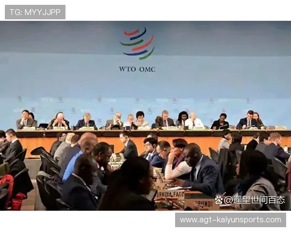 商务部：不再寻求WTO特殊待遇体现大国责任，wto业务